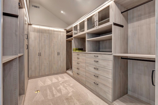 3910 Brick Church Pike, Nashville, TN 37207 - spacious closet featuring vaulted ceiling and light carpet