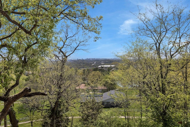 3910 Brick Church Pike, Nashville, TN 37207 - view of mountain backdrop