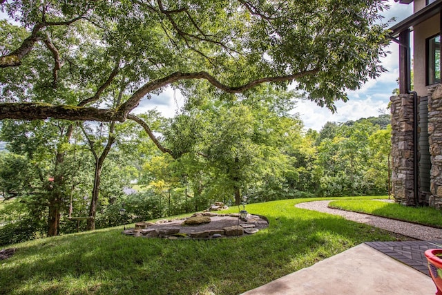 3910 Brick Church Pike, Nashville, TN 37207 - view of green lawn featuring a patio area and a forest view