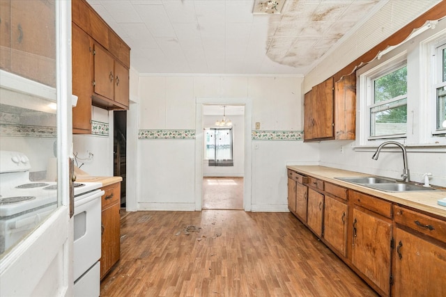 kitchen with white electric stove, a sink, brown cabinetry, light wood-type flooring, and light countertops
