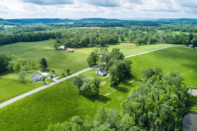 overview of rural landscape