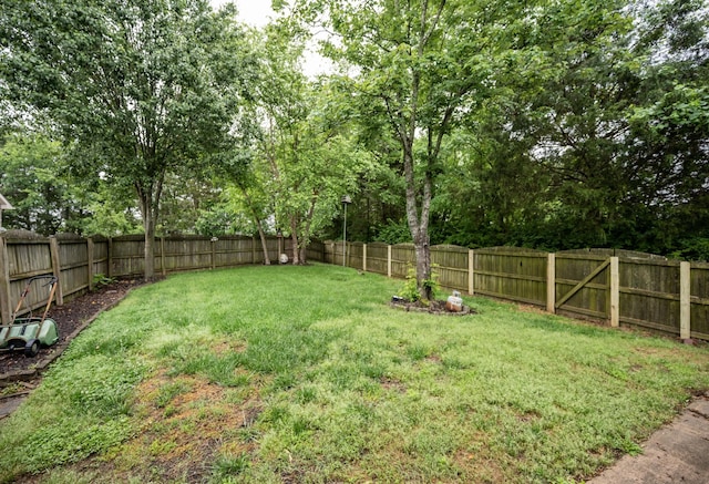 view of yard