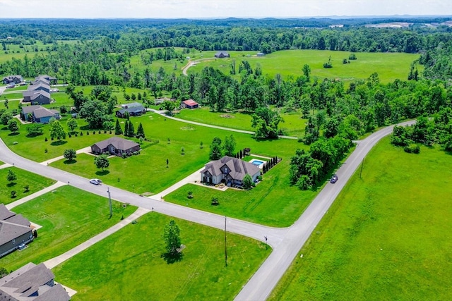 drone / aerial view