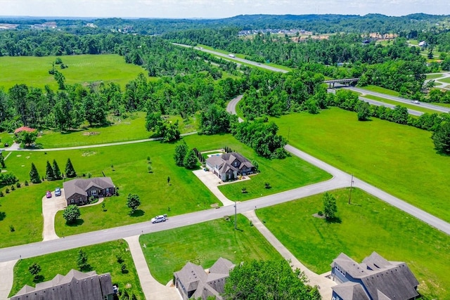 drone / aerial view