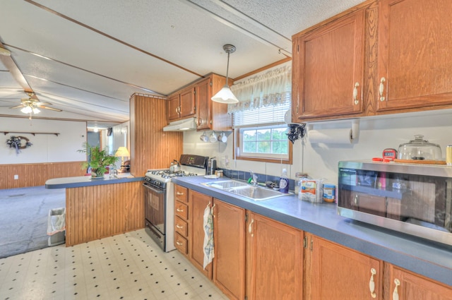1687 Columbia Rock Rd, Columbia, TN 38401 - kitchen with gas range oven, a sink, stainless steel microwave, under cabinet range hood, and wainscoting