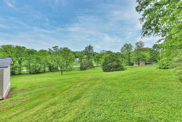 1687 Columbia Rock Rd, Columbia, TN 38401 - view of green lawn with view of scattered trees