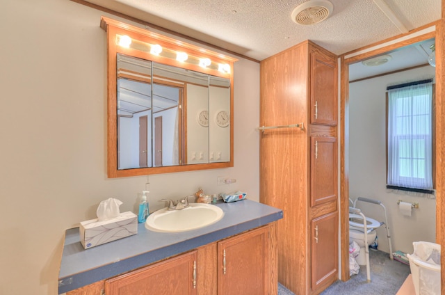 1687 Columbia Rock Rd, Columbia, TN 38401 - bathroom with vanity, toilet, and a textured ceiling