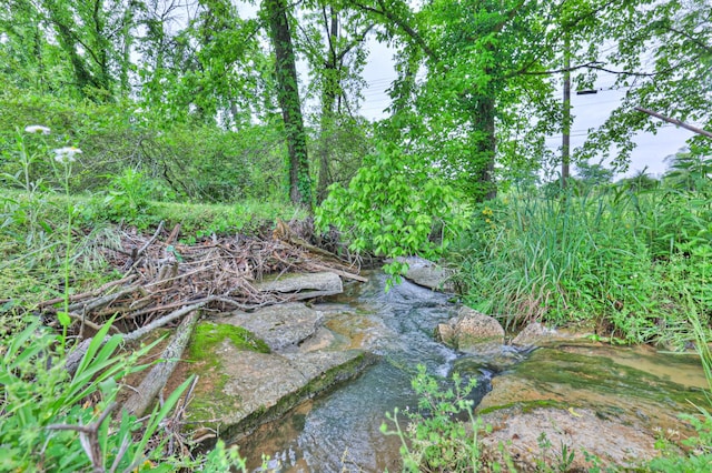 1687 Columbia Rock Rd, Columbia, TN 38401 - view of undeveloped land