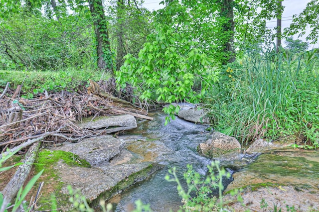 1687 Columbia Rock Rd, Columbia, TN 38401 - view of nature