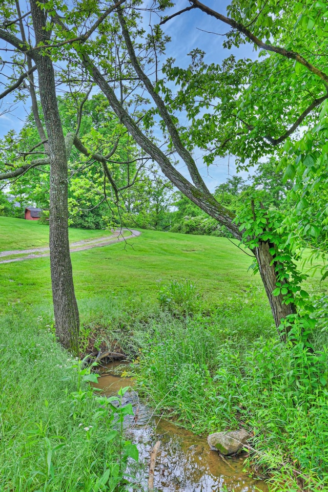 1687 Columbia Rock Rd, Columbia, TN 38401 - view of green lawn