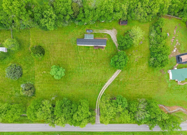 1687 Columbia Rock Rd, Columbia, TN 38401 - bird's eye view