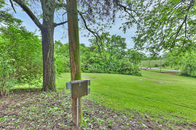 1687 Columbia Rock Rd, Columbia, TN 38401 - view of green lawn