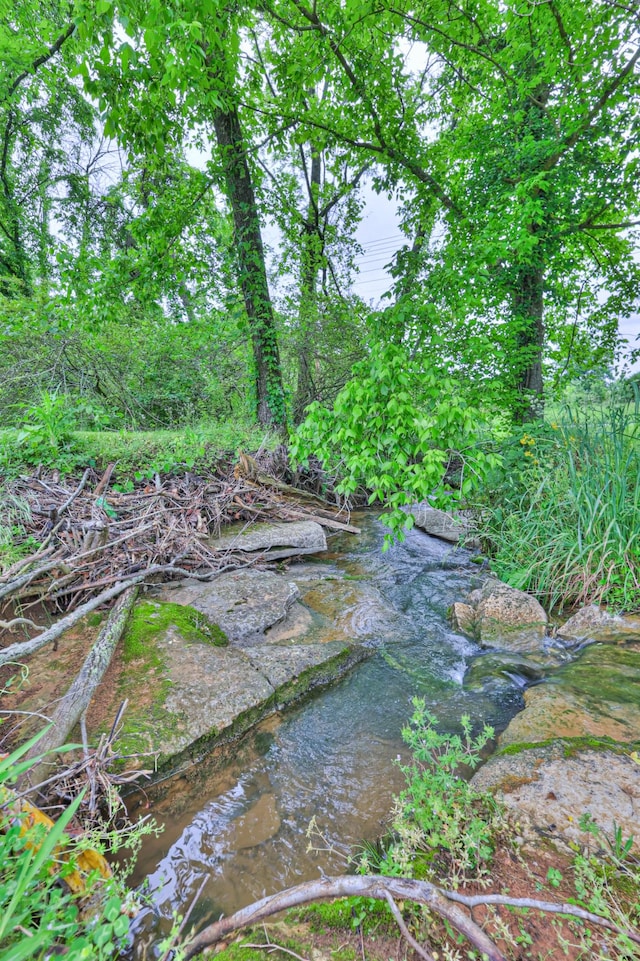 1687 Columbia Rock Rd, Columbia, TN 38401 - view of nature