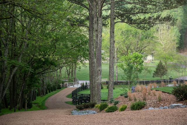 5564 Wilkins Branch Rd, Franklin, TN 37064 - view of property's community with fence