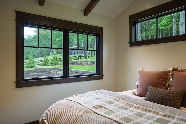 5564 Wilkins Branch Rd, Franklin, TN 37064 - bedroom featuring multiple windows