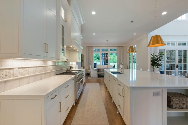 1461 Witherspoon Dr, Brentwood, TN 37027 - kitchen with high end stainless steel range oven, a sink, wood finished floors, light countertops, and recessed lighting