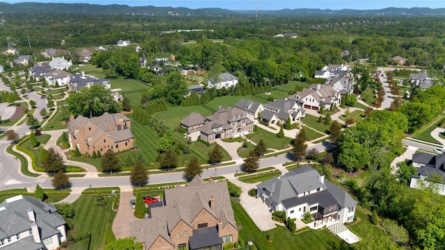 1461 Witherspoon Dr, Brentwood, TN 37027 - view of property location featuring nearby suburban area, mountains, and a forest