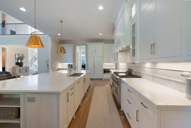 1461 Witherspoon Dr, Brentwood, TN 37027 - kitchen with premium appliances, a sink, wood finished floors, white cabinetry, and decorative backsplash