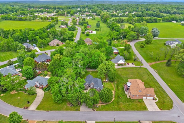 3031 Trice Pl, Lebanon, TN 37087 - aerial view of residential area