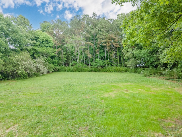 view of green lawn with a view of trees