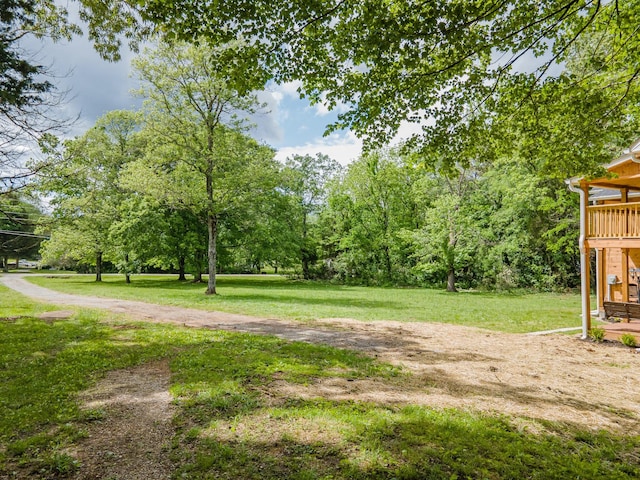 view of grassy yard