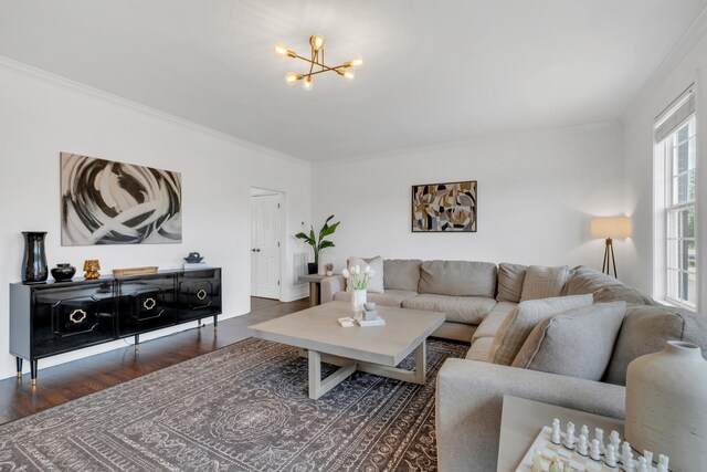 1206 Forest Lake Ct, Franklin, TN 37064 - living room with a chandelier, wood finished floors, and crown molding