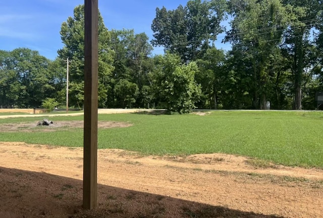 43 Nature Ln, Lobelville, TN 37097 - photo 1