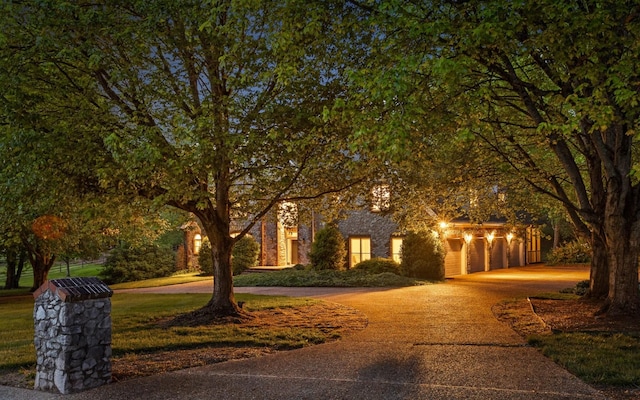 obstructed view of property featuring curved driveway
