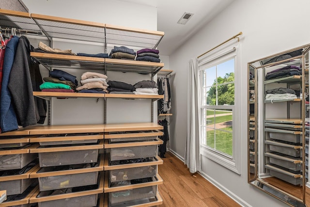 walk in closet featuring wood finished floors