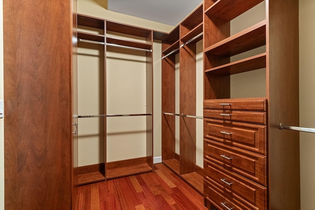 1115 Rossifer Ct, Gallatin, TN 37066 - spacious closet featuring wood finished floors