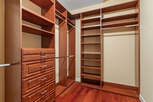 1115 Rossifer Ct, Gallatin, TN 37066 - walk in closet with dark wood-type flooring