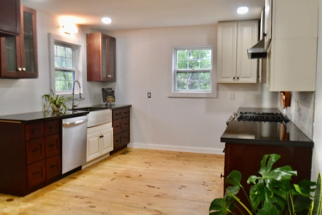kitchen with dishwasher, light wood finished floors, dark countertops, and plenty of natural light