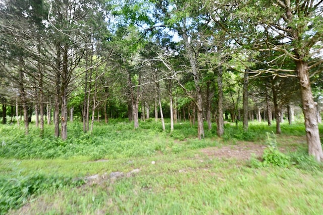 view of nature