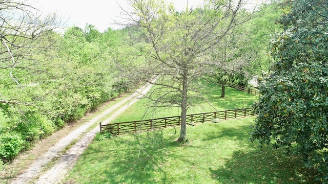 view of yard with dirt driveway and a forest view