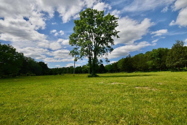 view of yard with a forest view