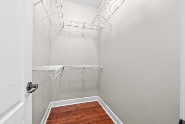 walk in closet with wood finished floors