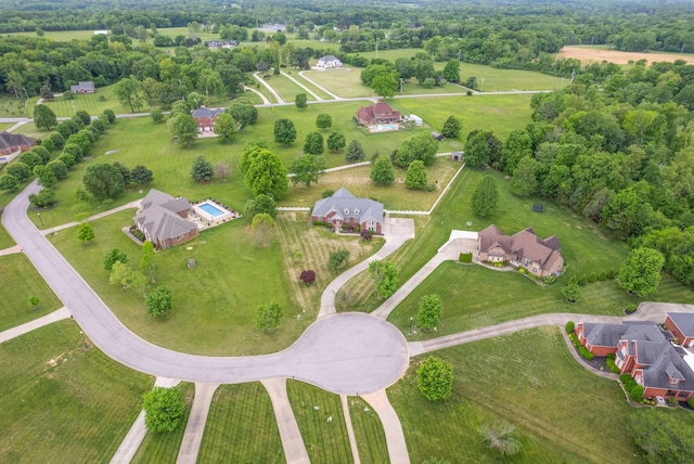 bird's eye view