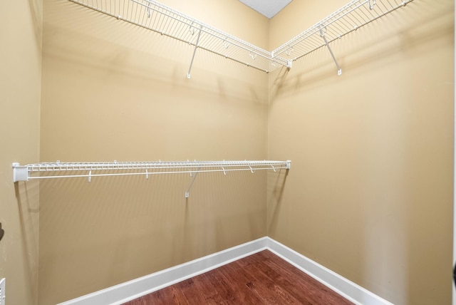 spacious closet featuring dark wood-style floors