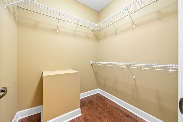 spacious closet featuring wood finished floors