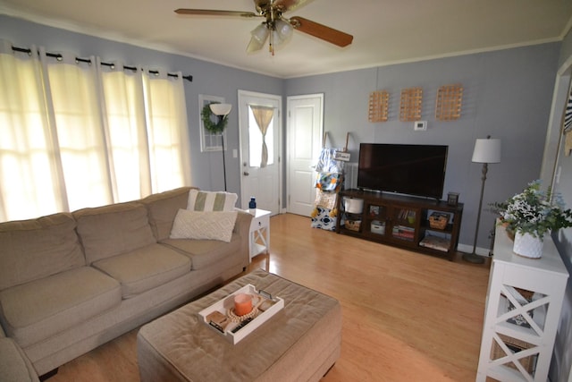 800 E Grigsby St, Pulaski, TN 38478 - living room featuring ceiling fan, light wood finished floors, and ornamental molding