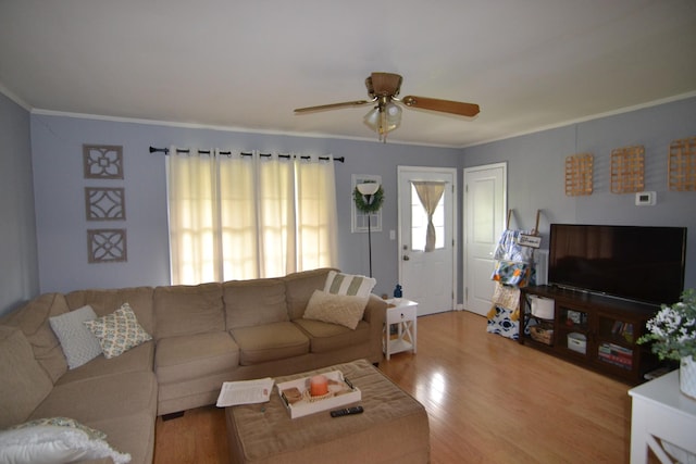 800 E Grigsby St, Pulaski, TN 38478 - living room featuring ceiling fan, crown molding, and light wood finished floors