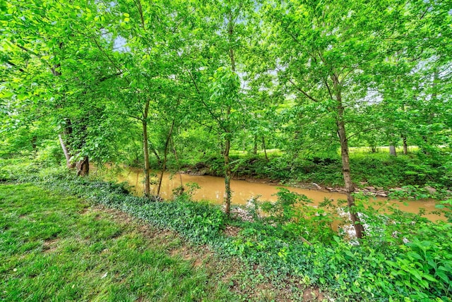 308 W Riverwood Dr, Hopkinsville, KY 42240 - photo 62