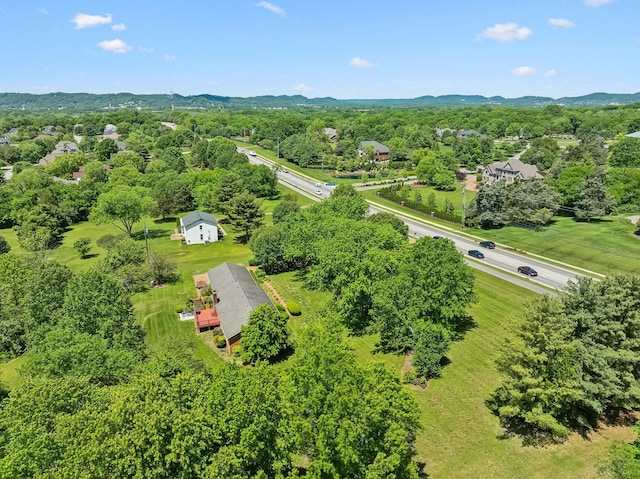 9209 Concord Rd, Brentwood, TN 37027 - bird's eye view of mountains and a tree filled landscape