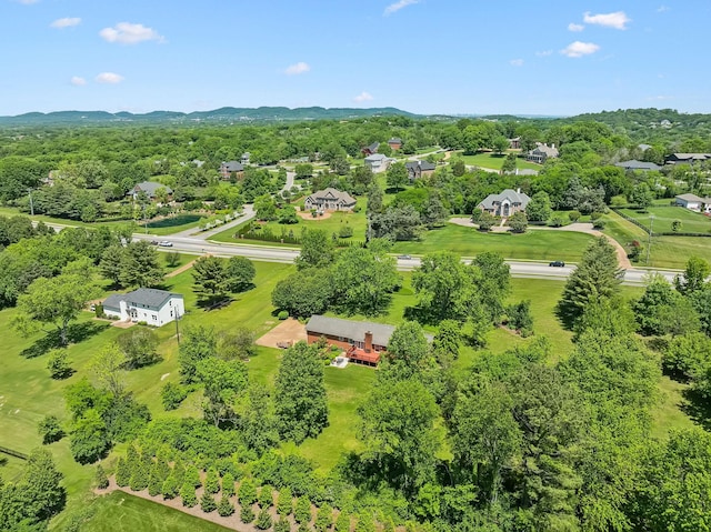 9209 Concord Rd, Brentwood, TN 37027 - bird's eye view