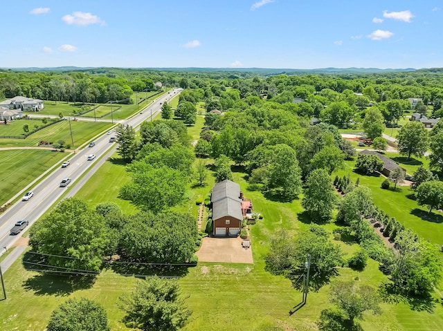 9209 Concord Rd, Brentwood, TN 37027 - drone / aerial view