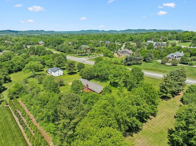 9209 Concord Rd, Brentwood, TN 37027 - drone / aerial view