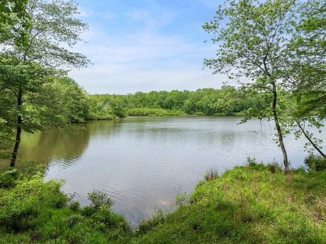1471 Excalibur Trl, Cedar Grove, TN 38321 - photo 47