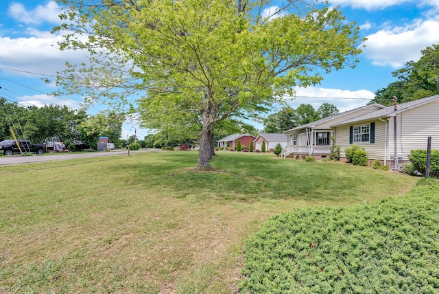 view of grassy yard