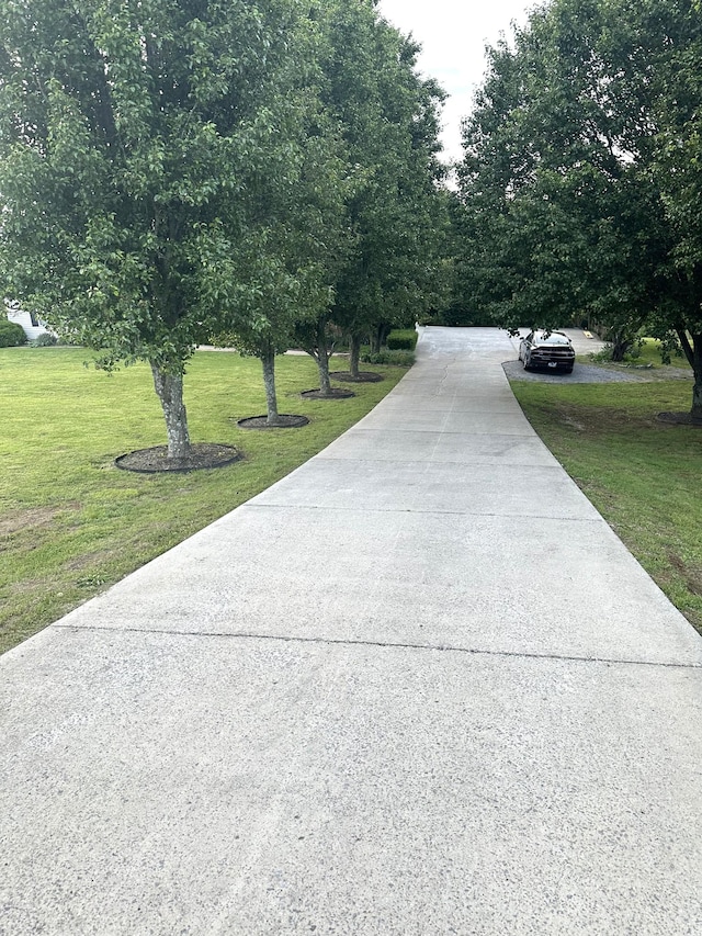 1224 Whiteside Hill Rd, Wartrace, TN 37183 - view of property's community featuring a yard and driveway