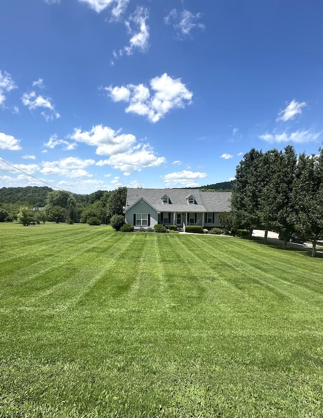 1224 Whiteside Hill Rd, Wartrace, TN 37183 - rear view of property featuring a yard